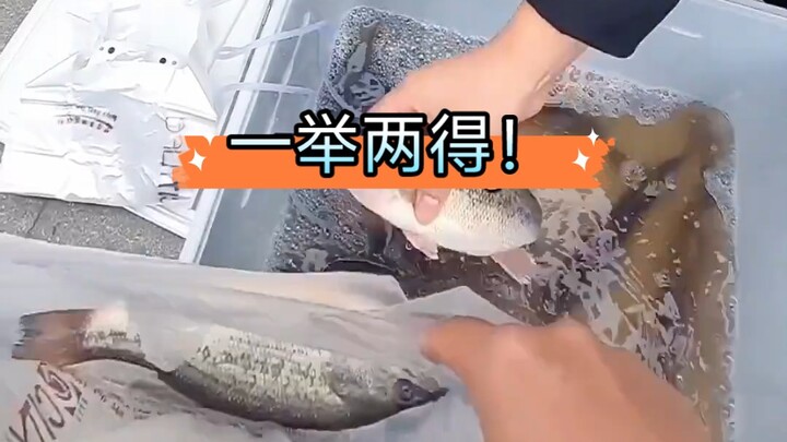 这方法好啊，既能盘黑坑又能赚到钱