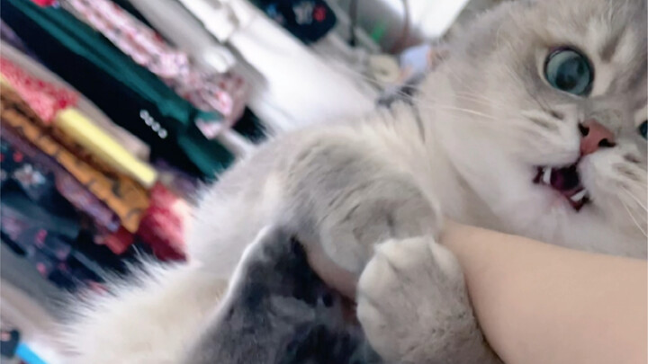 I love my bunny so much! How cute is ZhuZhu’s little bunny as it kicks its legs!