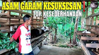 Ternak Kambing Agar Sukses Dan Lancar Rejekinya Ikut Caranya