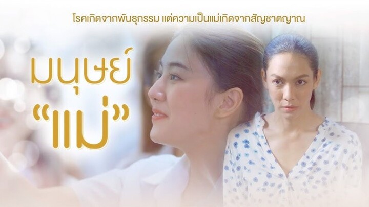 【 HD 】ดูซีรีย์ไทย  มนุษย์แม่ ( ๒๐๒๒ ) [ ตอนจบ ] ( เต็มเรื่อง ซับไทย ) HD【 bilibil HD 】