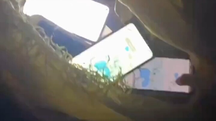 Mau lari keliling kampus bareng nggak?