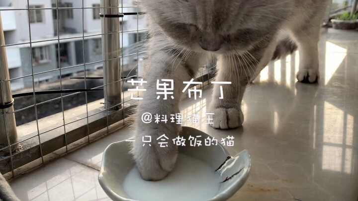【Culinary King Cat】The cat made a mango pudding dessert for its owner, hoping life will be a little 