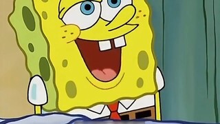 "Giả, tất cả đều là giả!!!"