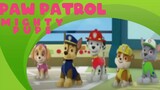 英语 - 新爪子巡逻英语完整剧集 Paw Patrol Rescue Cartoon Nickolodeon