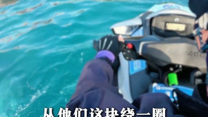 ธุรกิจดำน้ำเถื่อนที่ฝังรากในซานย่ามานานหลายปี จะถูกจัดการให้สิ้นซากในครั้งนี้ได้หรือไม่?