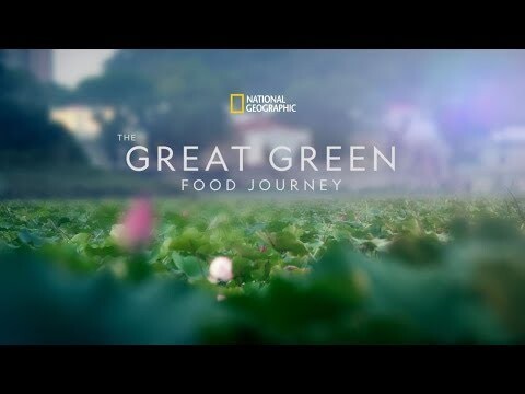 The Great Green Food Journey - Celebrating Macao's Sustainability Efforts