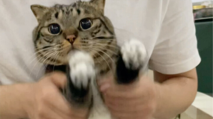 Bạn đã bị bắt! Kẻ phóng hỏa trái tim!!!