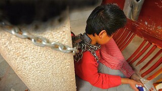 Raised like a dog since a kid, he grows up to take the most painful revenge