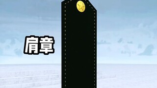 区分角色与权责的重要符号——肩章   #科普