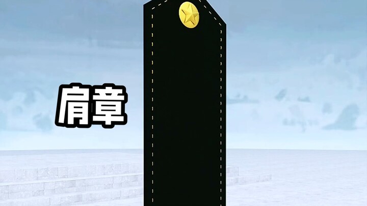 区分角色与权责的重要符号——肩章   #科普