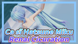 Ca sĩ Hatsune Miku|【MMD】Renai Cicuration