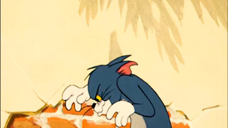 Tom and Jerry: ใครคือผู้ชนะที่แท้จริง?