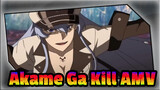 Akame Ga Kill AMV