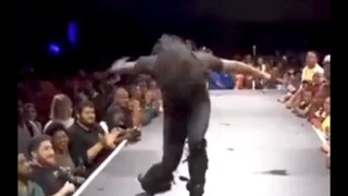 [Bird Recommendation] Some solo videos of Mr. Wu the Baron have leaked...