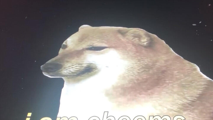 [From Twitter] "Cheems Dog in to the Moon"