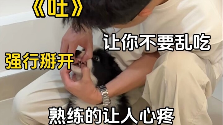 The On-Off Instability of Dog Owners