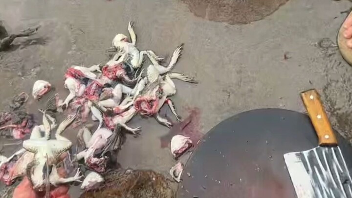 Apakah ini kebahagiaan yang dirasakan oleh para talenta di Guangdong?
