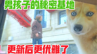 Let me show you the latest updates of the secret base in the doghouse. One trick can make your bathr