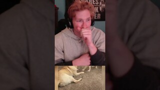 TRY NOT TO LAUGH 🤣 | 2