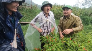 MÓN NGON TRỜI MƯA