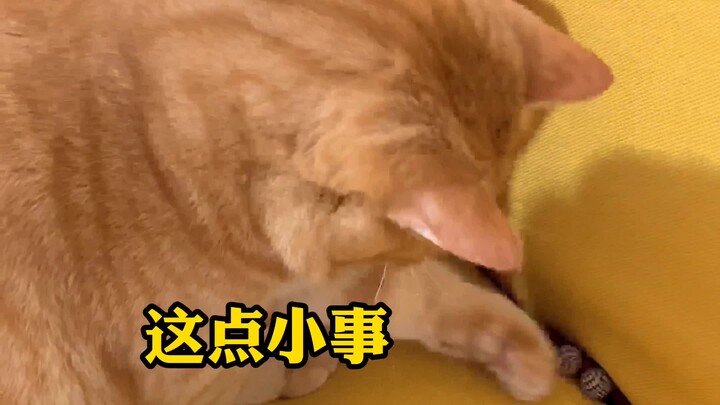 เป็นที่รู้กันดีว่าเด็กผู้หญิงที่ถูกตามใจไม่ต้องลงมือหยิบของเอง 😄