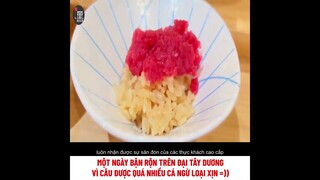 một ngày bận rộn trên Đại Tây Dương vì câu được quá nhiều cá ngừ loại xịn | review phim
