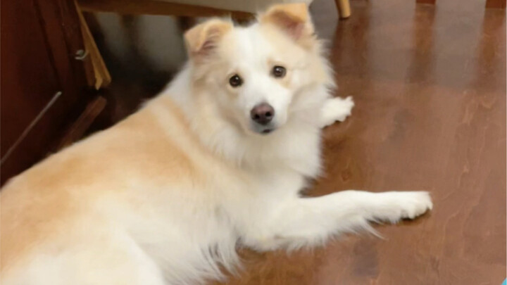 It’s cold—time to fire up the foot warmer again!