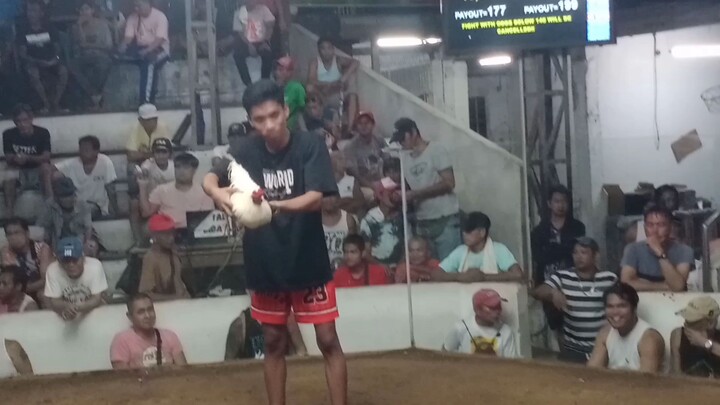 3xwinner asil