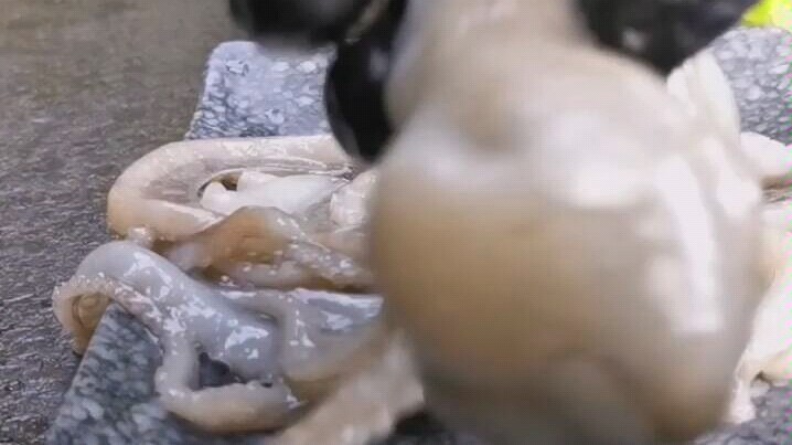 Hotpot Kecil yang Sederhana dan Kesepian