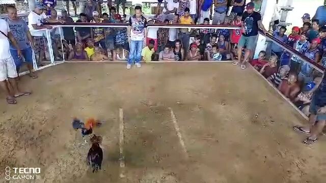 melsim black vs sweter