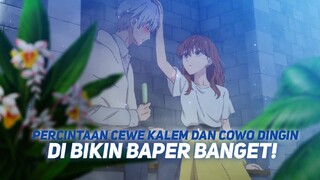 HUBUNGAN PERCINTAAN ANTARA COWO DINGIN DAN CEWE KALEM DI BIKIN BAPER BANGET!