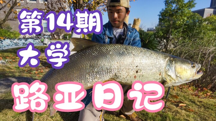 Tôi câu được người bạn cũ của hiệu trưởng rồi!