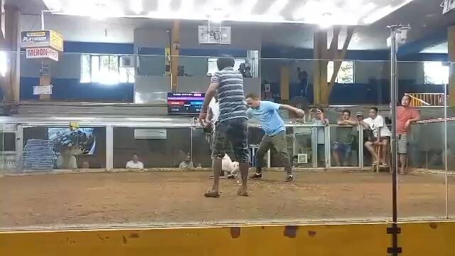 champion 2hits tanza