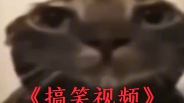 今日功德笑没了吧