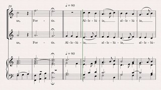 Parvulus Filius - HALLER