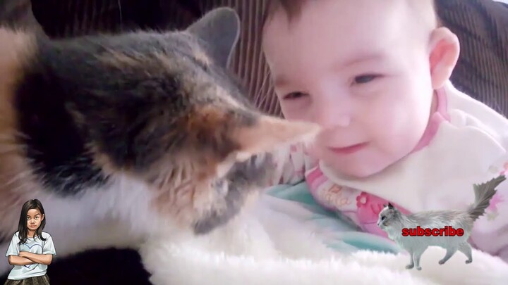 Kucing Lucu Bersama Anak Kecil Kocak banget