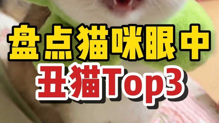 3 Kucing Terburuk di Mata Kucing Lain