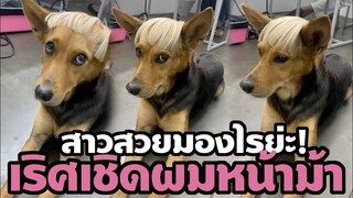 ทรงผมใหม่ "หมูทะ" OMG! เบื้องหลังพรีเซ็นเตอร์สาวทะ บอกเลยแซ๊บมากลูก