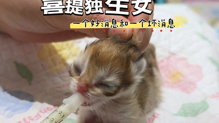 Có một tin vui và một tin buồn