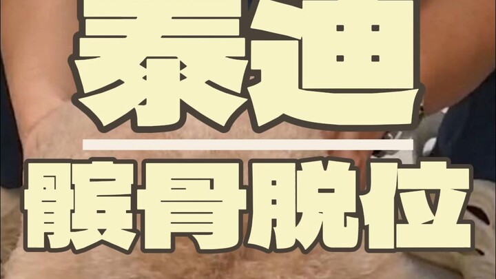 This dog really went through hell...