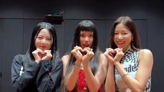 Paus Berkobar bergabung! NewJeans x Lesserafim lagu baru Tantangan Hype boy!