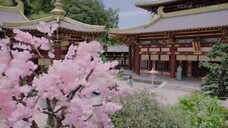 My Divine Emissary (2024) ท่านทูตเทพของข้า EP 9 [ซับไทย]