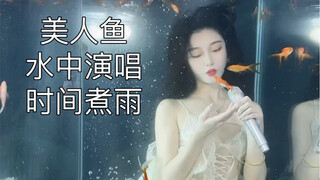 水温凉一点小金鱼的互动性就会很高
