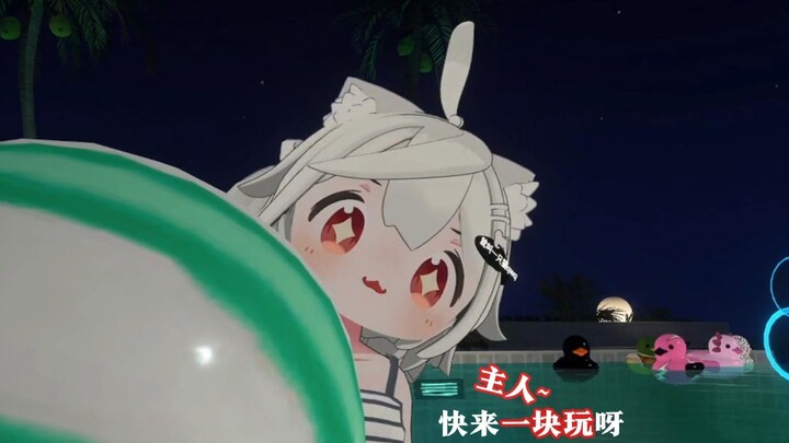 主人~快来一起玩呀！【就叫一只猫qwq】