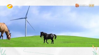 Nhà Hàng Trung Hoa S6 EP 9 [Sub Việt]