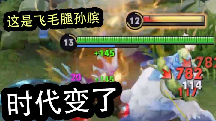 辅助：大人，时代又变了