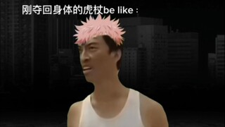 “刘海柱形态虎杖”