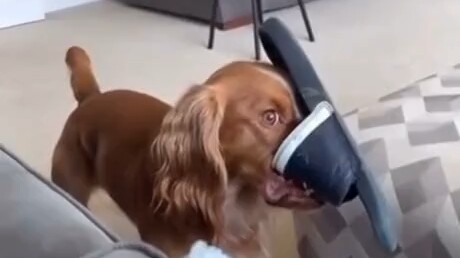 นาทีนี้ เขารู้ตัวดีว่าตัวเองจบเห่แล้ว