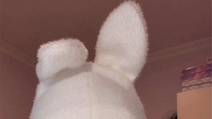 Berapa banyak cara memakai topi telinga kelinci?