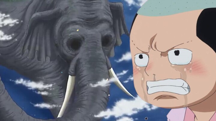One Piece: Analisis misi Master Gajah dan beberapa hubungan antara keluarga Kozuki dan Master Gajah